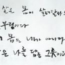 한국보육코칭협회 이미지