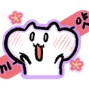 헬로우보일링크랩 이미지