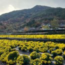 의신슈퍼 이미지