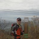 사루 Daum카페