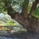 충간공 보물 제651호 박물관 | 익산 현동사와 어서각