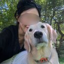 제이몽애견펜션 이미지