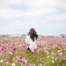 창내2리마을회관 이미지