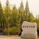 25년 고양국제꽃박람회 이미지