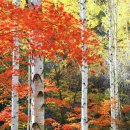 하얀도화지 이미지