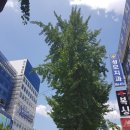 부천메디컬프라자 이미지