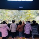 조은어린이집 이미지