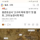 농경사회