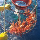 청호동식당 이미지