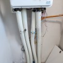 길음뉴타운 8단지 앞 이미지