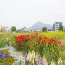 송현 이미지