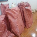 미스터크린원 이미지