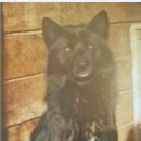 이규철농장 이미지