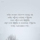 나이테
