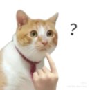 옛집염소탕 이미지