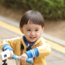 토리토리 이미지