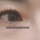 율하브로우눈썹&속눈썹