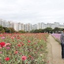 평촌농장 이미지