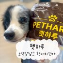 메이펫 | [강아지 간식] 펫하루🤎초석잠담은 수제 Bar 황태치킨 🍗🤎깜메이 찐 리뷰