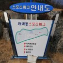 태백동 스포츠파크 네이버블로그