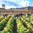 농업기술센터앞 이미지