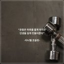 종합격투기하야로비