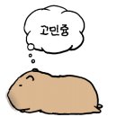 리버스의원 - 남동구 인하로 497-22 | 리버스의원