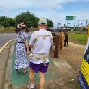 성산읍 고성리 352-4 이미지