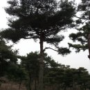 보두농장 네이버블로그