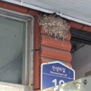 사철횟집 - 여수시 만성리길 19 | 사철횟집