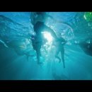 블룸하우스 이미지