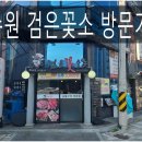 검은꽃소 | 수원 권선동 검은꽃소 소고기 맛집 소개