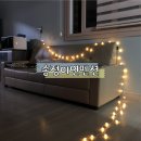 송정미연 이미지