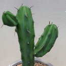 용신농장 이미지