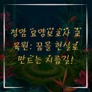 정암 요양보호사교육원 이미지