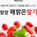 해맑은농장 이미지