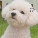 알콩달콩 이미지