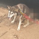 천지동물병원 이미지