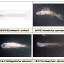 해류수산