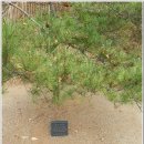 한반도농업협동조합 이미지