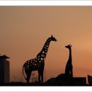 인사동길 이미지