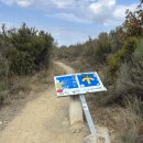 ㈜우리여행사 | 2025 산티아고 순례길 후기 30 - 걷다 보면 삶이 보인다 (도보 27일차 ▶️ 몰리나세카)