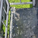 한국2차아파트 | 광주비둘기퇴치 시공후기 풍암동 한국아델리움2차 아파트