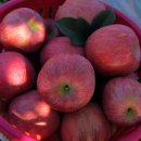 우경농원 이미지