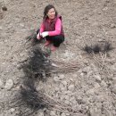 덕용농장 이미지