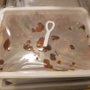 으뜸족발 이미지