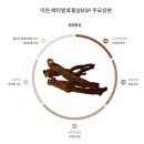 (주)비에스피 이미지