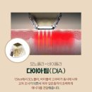 다이아의원 이미지