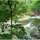 제291차 8월 전북 장수군 덕산계곡 트레킹 장수산 산행 공지 이미지