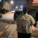 반려동물 이동서비스 | [무인양품] 반려동물 이동가방 백팩 내돈내산 후기🐶